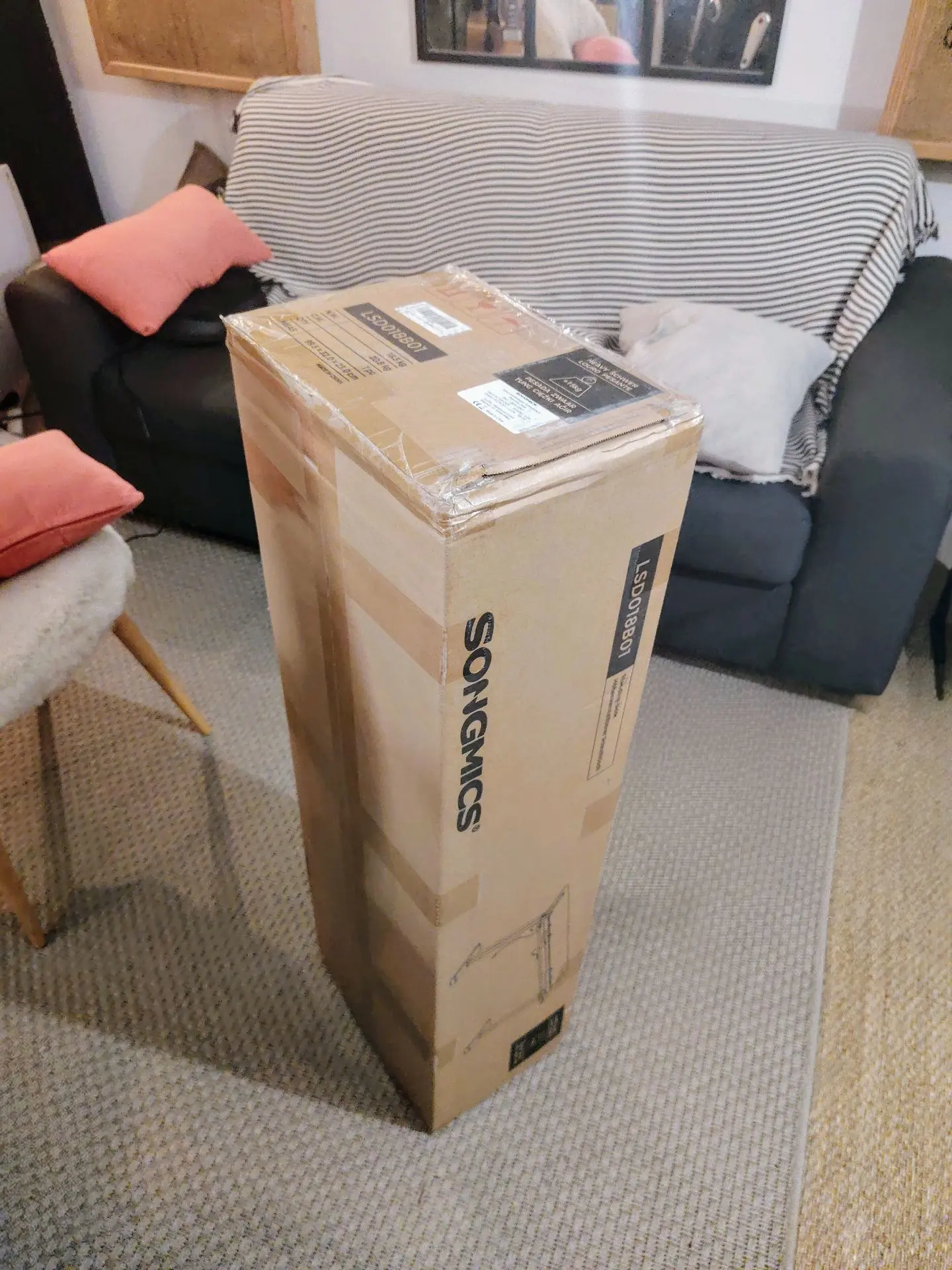 Voici le colis de la base, assez lourd mais facilement transportable. Le colis est arrivé à bon port