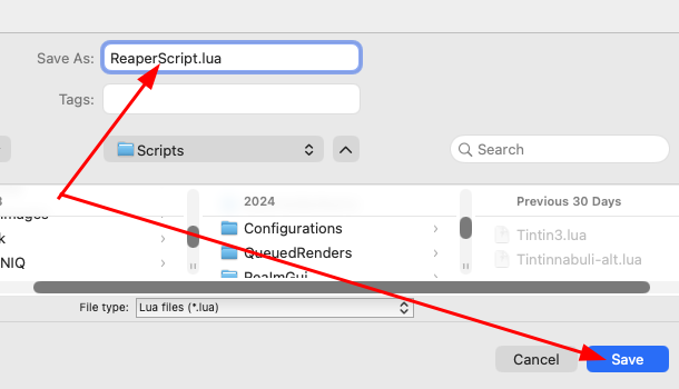 Steps to install scripts in Reaper